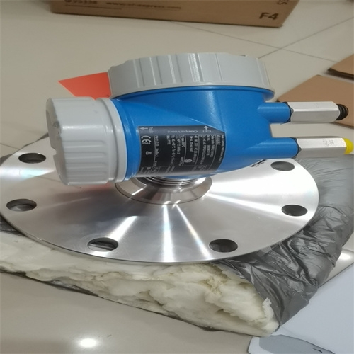 E+H音叉物位计FTM51-AGJ2L4A32AA 700mm资料